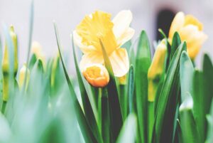 A Relational Approach to Easter