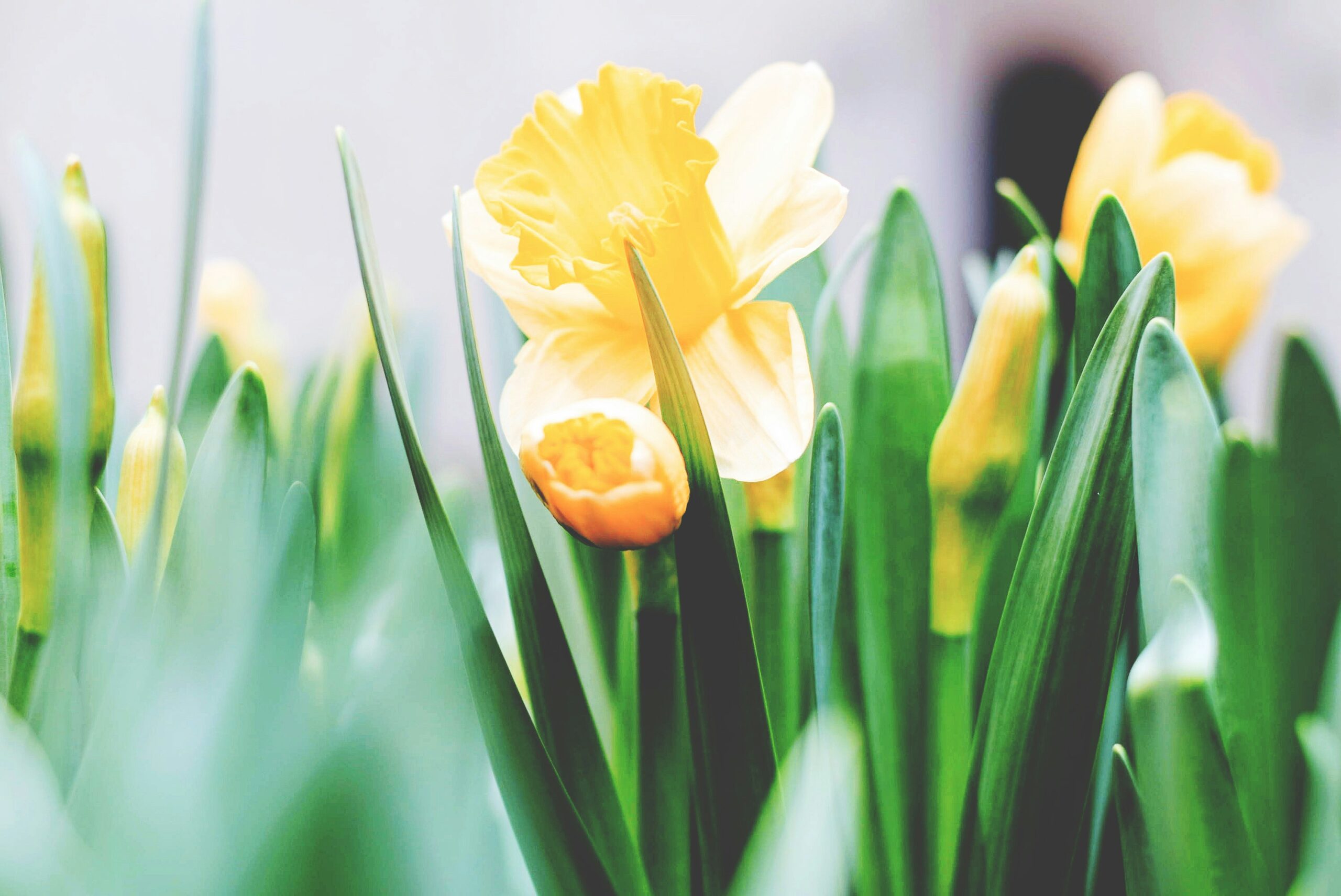 A Relational Approach to Easter