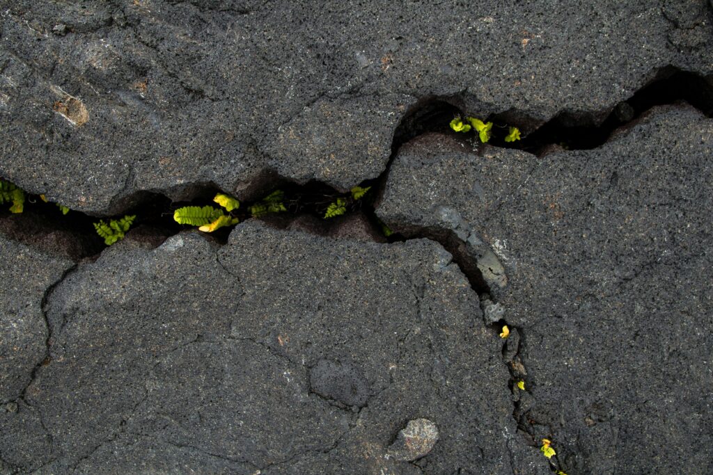 How Relationship Systems Intelligence "RSI" Builds Real-World Resilience