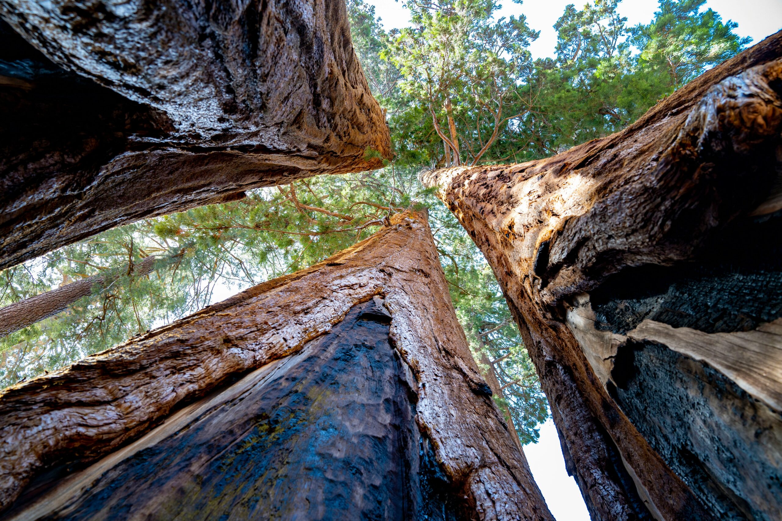 What Do We Need to Build Resilience